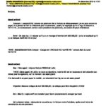 RANARISON Tsilavo NEXTHOPE l’intranet de CONNECTIC envoie chaque soir un rapport_Page_070