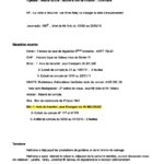 RANARISON Tsilavo NEXTHOPE l’intranet de CONNECTIC envoie chaque soir un rapport_Page_085